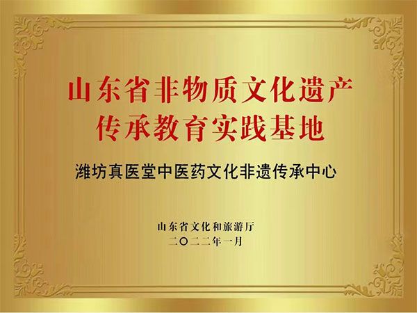 山東省非物質文化遺產傳承教育實踐基地濰坊真醫堂中醫藥文化非遺傳承中心